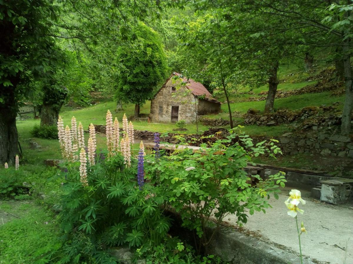 Casa Vacanze Le Muse Sillico Pieve Fosciana Kültér fotó